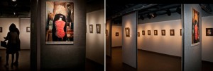 Various views of the Atrium Gallery…