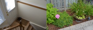 Welcome! Come downstairs for a short studio visit (left). A glimpse of my backyard from the studio door is always inspiring (right).