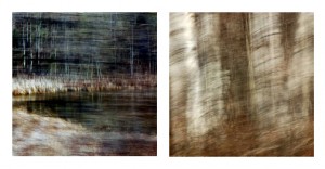 Texture detail of Nancy Halpin's "Still of Night" (left) and "Ghost Trees" (right)
