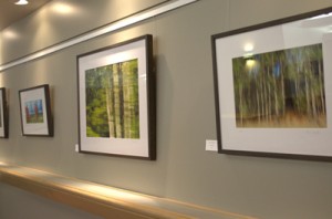 Nancy Halpin's work is located on both the upper and lower levels of the Centrepointe Gallery