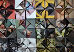 A grouping of lotus flowers so cool. This month I donated 40 to AOE!
