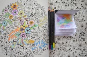 My two-hours' worth of colouring in progress in Johanna Basford's "Secret Garden"